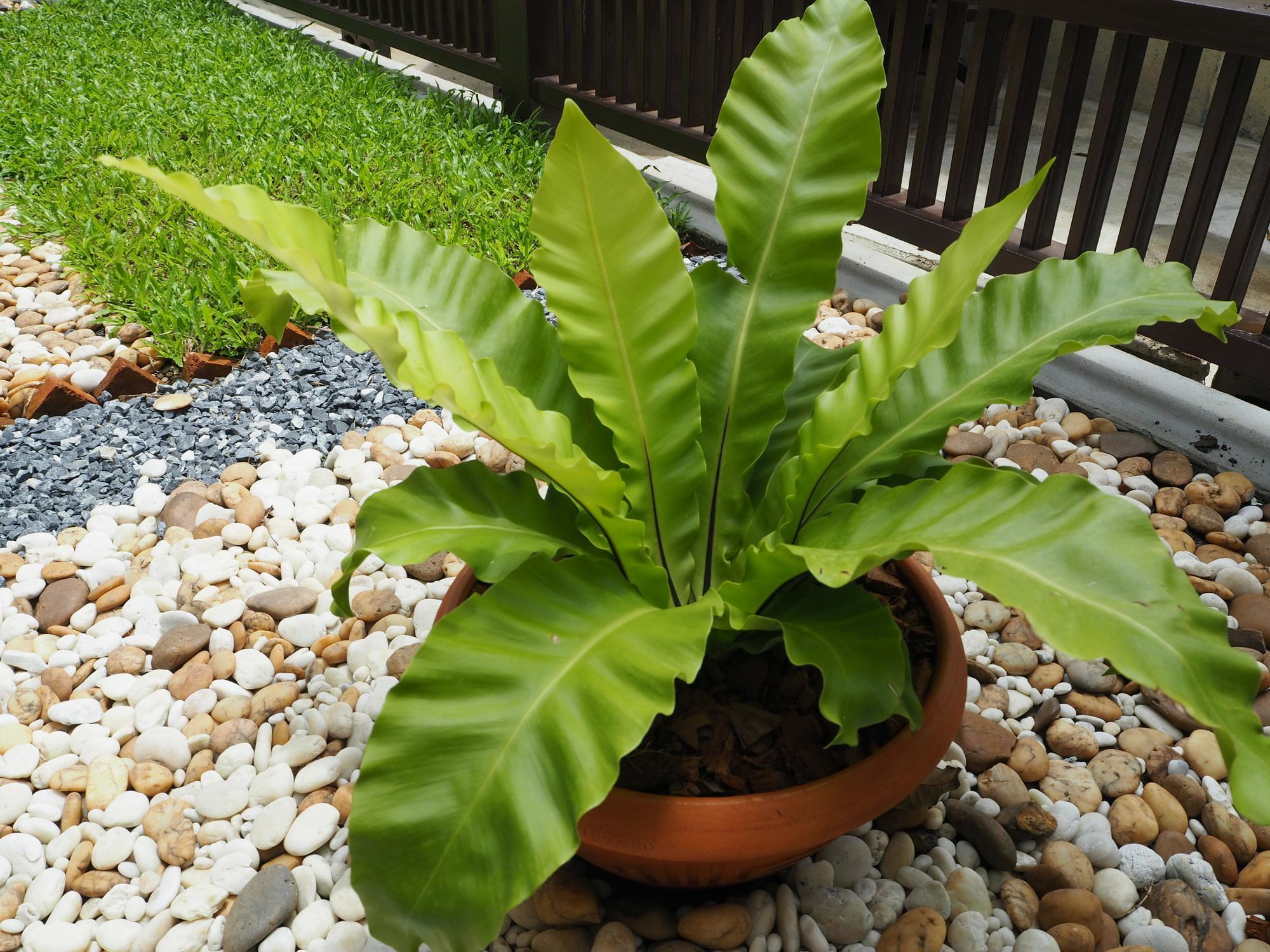 Sukhumvit 50 Garden Home Ban Khlong Nang Li 외부 사진